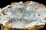 Blue Bladed Barite Crystal Clusters on Calcite  - Morocco #137009-3